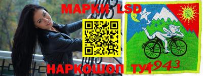 a pvp Можга
